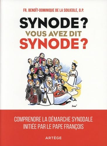 Synode ? Vous avez dit synode ? Comprendre la démarche synodale initiée par le pape François